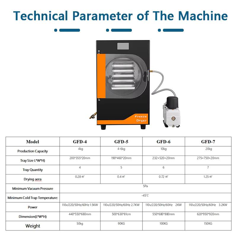 20Kg Automatic Gear Freeze Mac - Food In Snacks reseña y precio