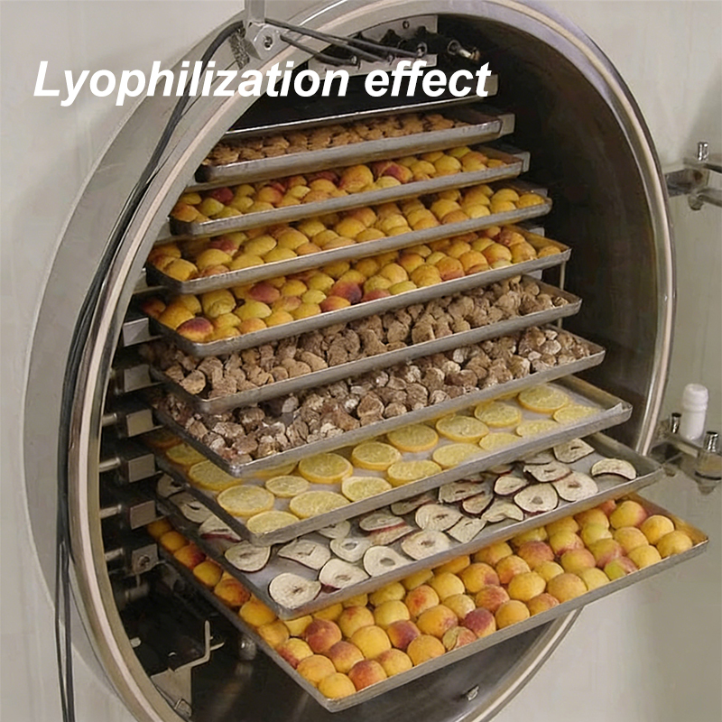 Rapid Cooling Automatic Energy - Food Energy Snacks reseña y precio
